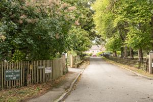 Photo 24- click for photo gallery